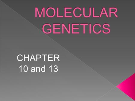 MOLECULAR GENETICS CHAPTER 10 and 13.