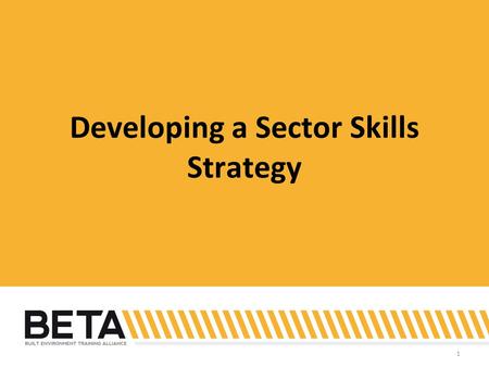 1 Developing a Sector Skills Strategy. 2 Identifying issues.