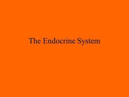 The Endocrine System.
