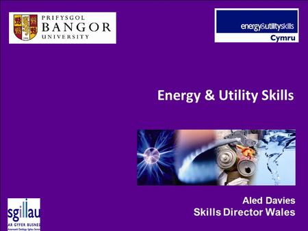 Energy & Utility Skills