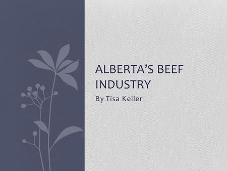 By Tisa Keller ALBERTA’S BEEF INDUSTRY. Pasture During all seasons like spring, summer and fall cows and calves spend most of their days living and feeding.