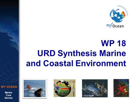 Marine Core Service MY OCEAN WP 18 URD Synthesis Marine and Coastal Environment.