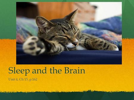 Sleep and the Brain Unit 4, Ch 15, p.162. Pre-reading Questions.