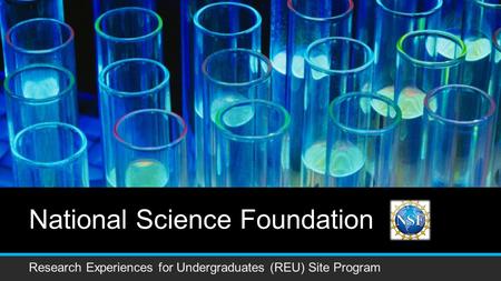 National Science Foundation Research Experiences for Undergraduates (REU) Site Program.