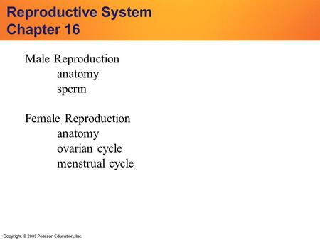 Copyright © 2009 Pearson Education, Inc. Reproductive System Chapter 16 Male Reproduction anatomy sperm Female Reproduction anatomy ovarian cycle menstrual.