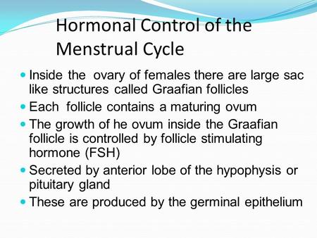 Hormonal Control of the Menstrual Cycle Inside the ovary of females there are large sac like structures called Graafian follicles Each follicle contains.