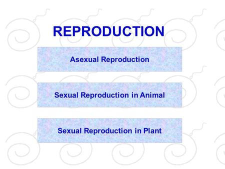Sexual Reproduction in Animal Sexual Reproduction in Plant