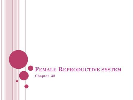 F EMALE R EPRODUCTIVE SYSTEM Chapter 32. P URPOSE OF THE FEMALE REPRODUCTIVE SYSTEM : Produce gamete Production of offspring Continuation of the genetic.