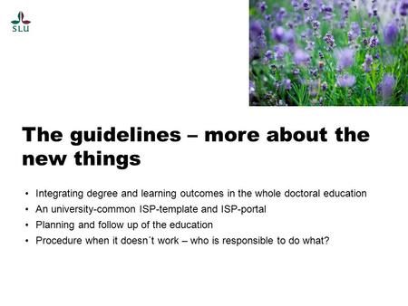 The guidelines – more about the new things Integrating degree and learning outcomes in the whole doctoral education An university-common ISP-template and.