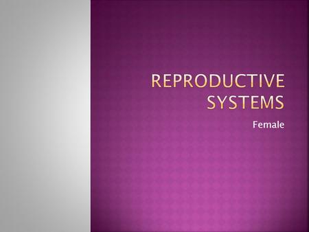 Reproductive Systems Female.