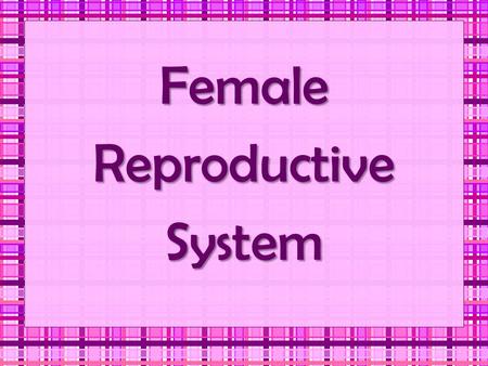 Female Reproductive System.