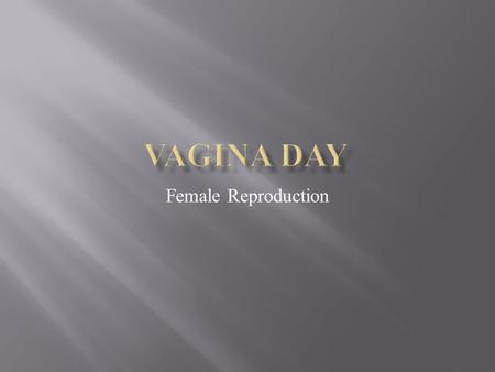 Vagina Day Female Reproduction.
