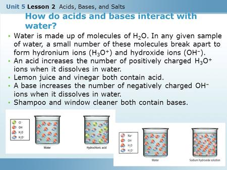 How do acids and bases interact with water?