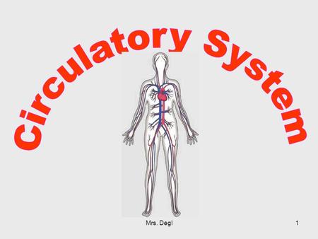 Circulatory System Mrs. Degl.