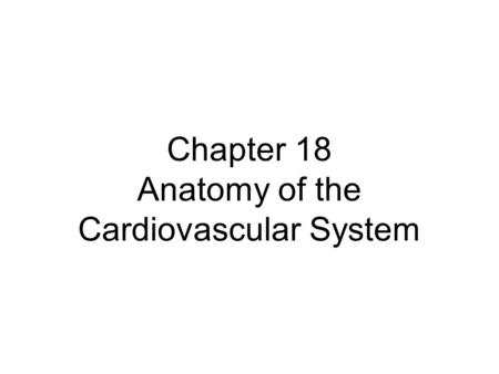 Chapter 18 Anatomy of the Cardiovascular System