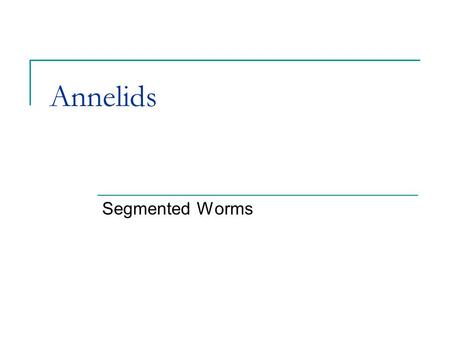 Annelids Segmented Worms.