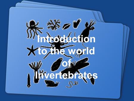 Introduction to the world of Invertebrates. 9/3/2015 Essential Functions for all organisms: 1. Respiration 2. Feeding/Digestive System 3. Response/Nervous.