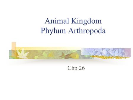 Animal Kingdom Phylum Arthropoda Chp 26. Why are there so many arthropods? Appeared more than 600mya Started in water then moved to land First body form.