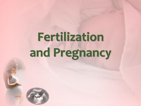 Fertilization and Pregnancy Fertilization Pregnancy is the presence of developing offspring in the uterus, an event resulting from fertilization – the.