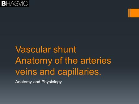 Vascular shunt Anatomy of the arteries veins and capillaries.