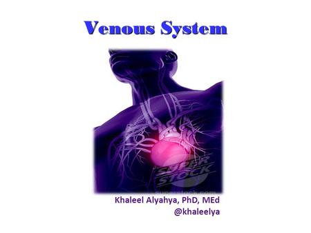 Venous System Khaleel Alyahya, PhD, MEd @khaleelya.