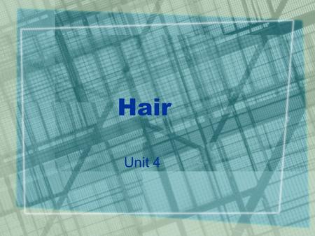 Hair Unit 4.