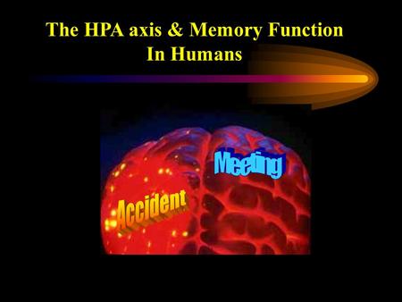 The HPA axis & Memory Function In Humans. Impact of stress on memory 2 principal effects Forget something due to stress e.g. wedding anniversary Vivid.