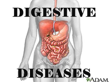 DIGESTIVE DISEASES 1.