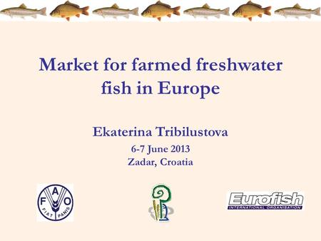 Market for farmed freshwater fish in Europe Ekaterina Tribilustova 6-7 June 2013 Zadar, Croatia.