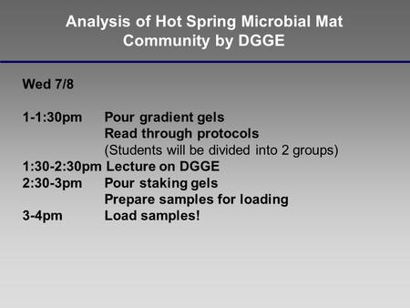 Analysis of Hot Spring Microbial Mat