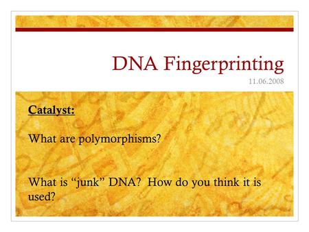 DNA Fingerprinting Catalyst: What are polymorphisms?