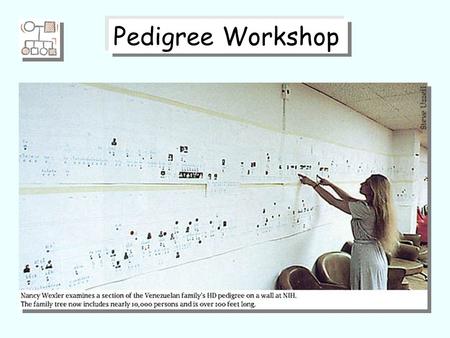 Pedigree Workshop. Congenital cataracts A pedigree traces the patterns of inheritance of genetic traits from generation to generation within a family.