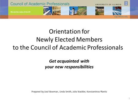 Orientation for Newly Elected Members to the Council of Academic Professionals Get acquainted with your new responsibilities Prepared by Liezl Bowman,