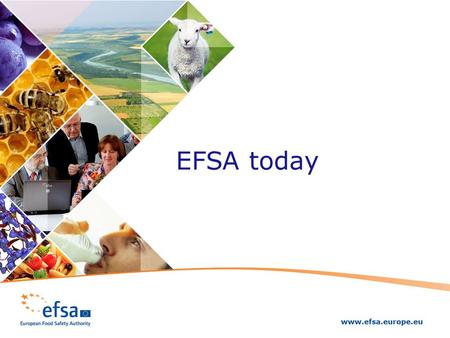 EFSA today. To contribute to ensuring Europe’s food is safe, EFSA is: 1.a key actor in the EU food safety system 2.committed to excellence in risk assessment.