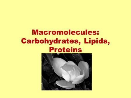 Macromolecules: Carbohydrates, Lipids, Proteins