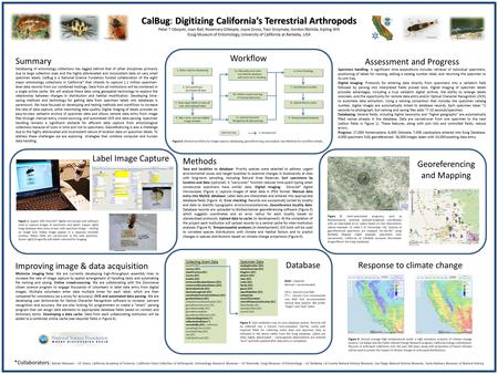 CalBugDigitizing California’s Terrestrial Arthropods CalBug: Digitizing California’s Terrestrial Arthropods Peter T Oboyski, Joan Ball, Rosemary Gillespie,