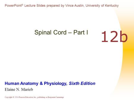 Spinal Cord – Part I 12b.