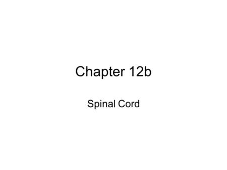 Chapter 12b Spinal Cord.