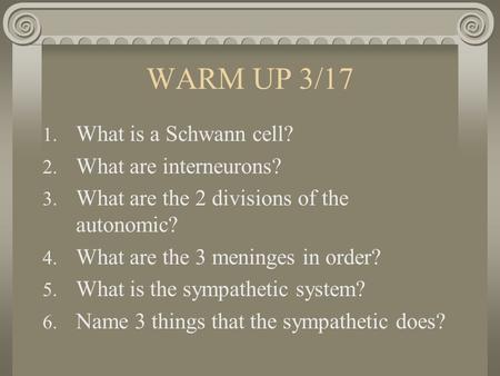WARM UP 3/17 1. What is a Schwann cell? 2. What are interneurons? 3. What are the 2 divisions of the autonomic? 4. What are the 3 meninges in order? 5.