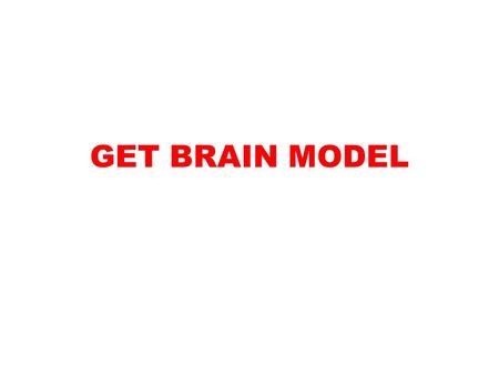 GET BRAIN MODEL. OBJ: Given notes, video, activity sheet SWBAT explain the structures and functions of the Central and Peripheral Nervous Systems with.