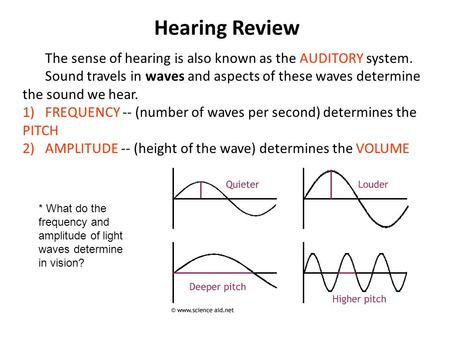 Hearing Review The sense of hearing is also known as the AUDITORY system. Sound travels in waves and aspects of these waves determine the sound we hear.