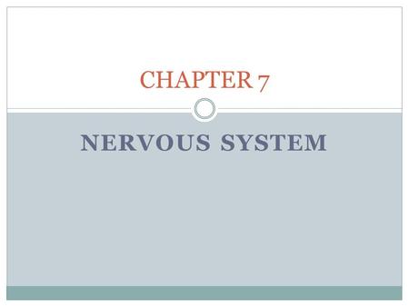 CHAPTER 7 NERVOUS SYSTEM.