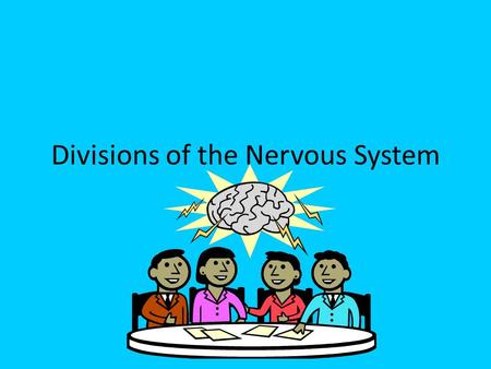 Divisions of the Nervous System 19.2. There are 2 main divisions of the nervous system. – 1. Central Nervous System – 2. Peripheral Nervous System.