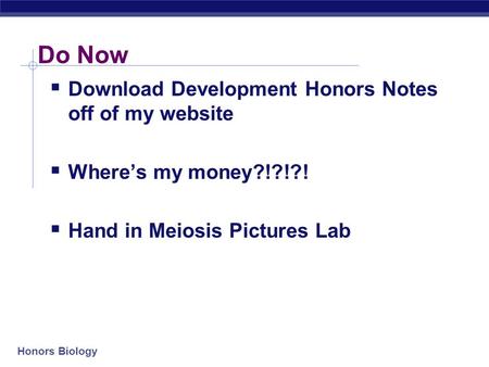 Do Now Download Development Honors Notes off of my website