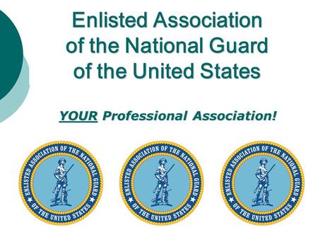 Enlisted Association of the National Guard of the United States YOUR Professional Association!