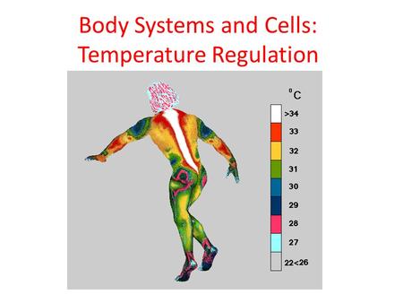 Body Systems and Cells: Temperature Regulation. I. How do living things stay alive in extreme temperatures? One of the characteristics of living things.