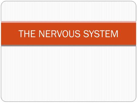THE NERVOUS SYSTEM. DEFINITION the body’s communicator electrical & chemical changes relay messages nerves are strings of neurons (special cells) that.