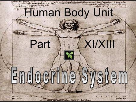 Human Body Unit Part 			XI/XIII Endocrine System.