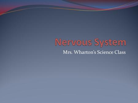Mrs. Wharton’s Science Class. Vocabulary Central nervous system- consists of brain and spinal cord Peripheral nervous system- consists of all the nerves.