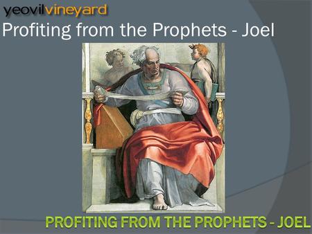 Profiting from the Prophets - Joel. The Minor Prophets  Hosea  Joel  Amos  Obadiah  Jonah  Micah  Nahum  Habakkuk  Zephaniah  Haggai  Zechariah.